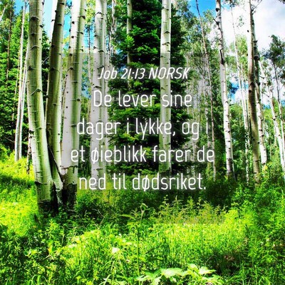 Picture 04 - Job 21:13 NORSK - De lever sine dager i lykke, og i et øieblikk - Bible Verse Picture