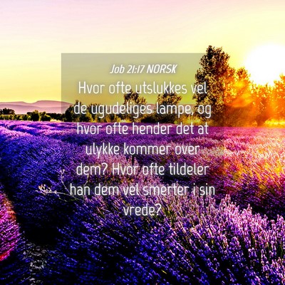 Picture 04 - Job 21:17 NORSK - Hvor ofte utslukkes vel de ugudeliges lampe, og - Bible Verse Picture