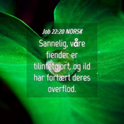 Picture 04 - Job 22:20 NORSK - Sannelig, våre fiender er tilintetgjort, og ild - Bible Verse Picture