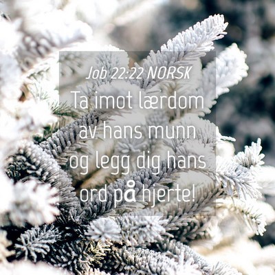 Picture 04 - Job 22:22 NORSK - Ta imot lærdom av hans munn og legg dig hans ord - Bible Verse Picture