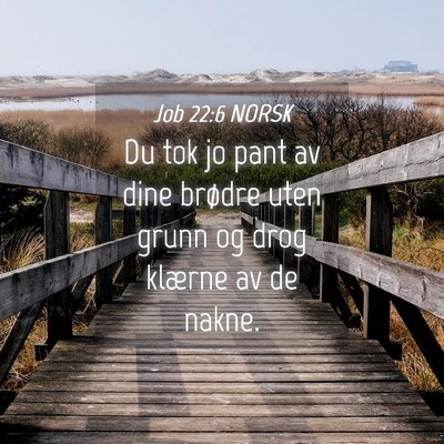 Picture 04 - Job 22:6 NORSK - Du tok jo pant av dine brødre uten grunn og drog - Bible Verse Picture