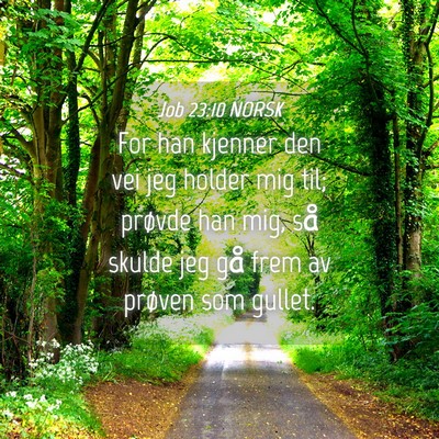Picture 04 - Job 23:10 NORSK - For han kjenner den vei jeg holder mig til; - Bible Verse Picture
