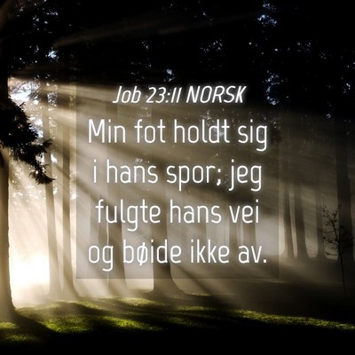 Picture 04 - Job 23:11 NORSK - Min fot holdt sig i hans spor; jeg fulgte hans - Bible Verse Picture