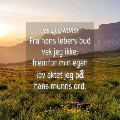 Picture 04 - Job 23:12 NORSK - Fra hans lebers bud vek jeg ikke; fremfor min - Bible Verse Picture