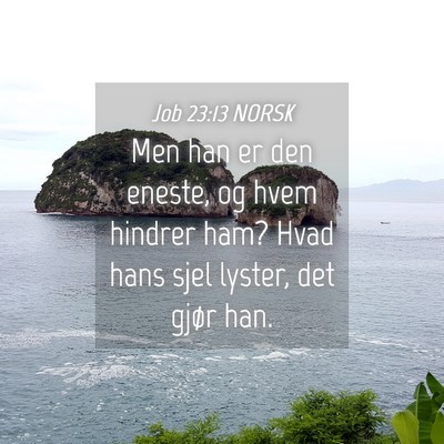 Picture 04 - Job 23:13 NORSK - Men han er den eneste, og hvem hindrer ham? Hvad - Bible Verse Picture
