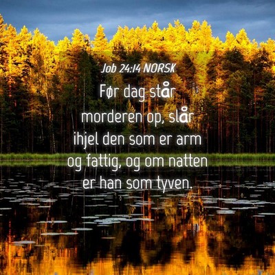 Picture 04 - Job 24:14 NORSK - Før dag står morderen op, slår ihjel den som - Bible Verse Picture