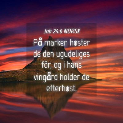 Picture 04 - Job 24:6 NORSK - På marken høster de den ugudeliges fôr, og i - Bible Verse Picture