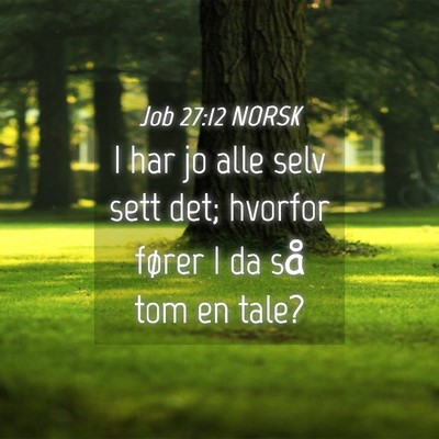 Picture 04 - Job 27:12 NORSK - I har jo alle selv sett det; hvorfor fører I da - Bible Verse Picture