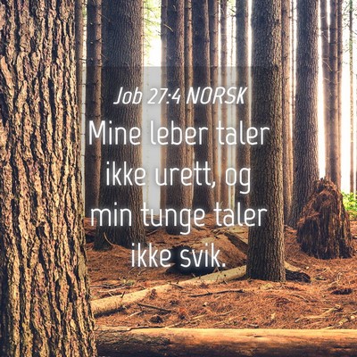 Picture 04 - Job 27:4 NORSK - Mine leber taler ikke urett, og min tunge taler - Bible Verse Picture