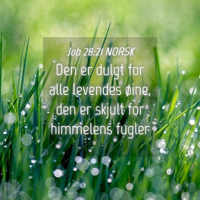 Picture 04 - Job 28:21 NORSK - Den er dulgt for alle levendes øine, den er - Bible Verse Picture