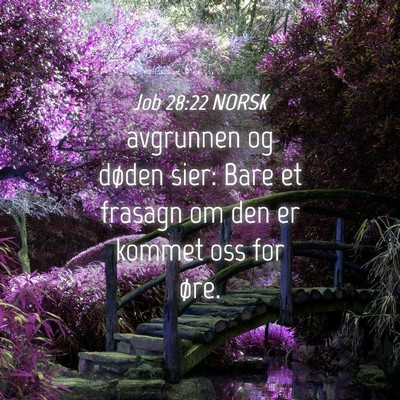 Picture 04 - Job 28:22 NORSK - avgrunnen og døden sier: Bare et frasagn om den - Bible Verse Picture