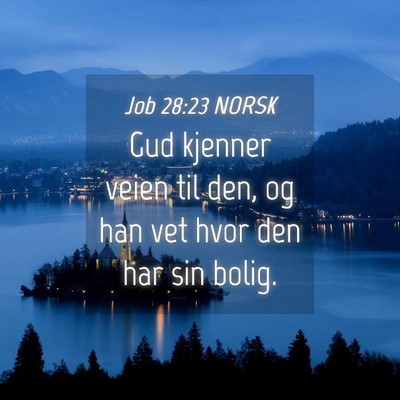 Picture 04 - Job 28:23 NORSK - Gud kjenner veien til den, og han vet hvor den - Bible Verse Picture