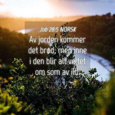 Picture 04 - Job 28:5 NORSK - Av jorden kommer det brød; men inne i den blir - Bible Verse Picture