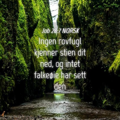 Picture 04 - Job 28:7 NORSK - Ingen rovfugl kjenner stien dit ned, og intet - Bible Verse Picture