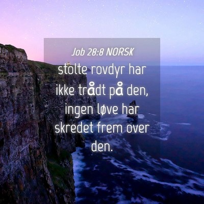 Picture 04 - Job 28:8 NORSK - stolte rovdyr har ikke trådt på den, ingen - Bible Verse Picture