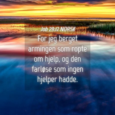Picture 04 - Job 29:12 NORSK - For jeg berget armingen som ropte om hjelp, og - Bible Verse Picture