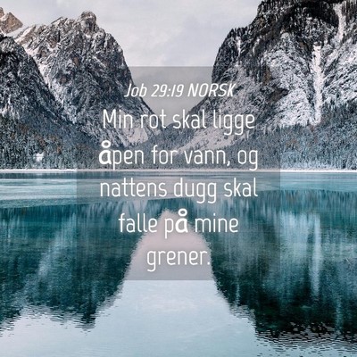 Picture 04 - Job 29:19 NORSK - Min rot skal ligge åpen for vann, og nattens - Bible Verse Picture