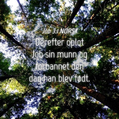 Picture 04 - Job 3:1 NORSK - Derefter oplot Job sin munn og forbannet den dag - Bible Verse Picture