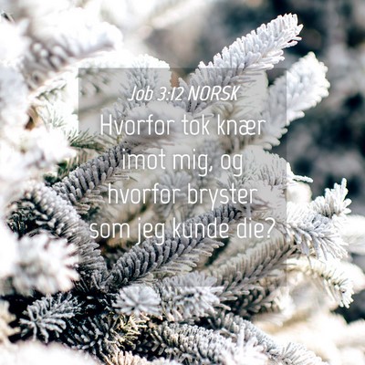 Picture 04 - Job 3:12 NORSK - Hvorfor tok knær imot mig, og hvorfor bryster - Bible Verse Picture