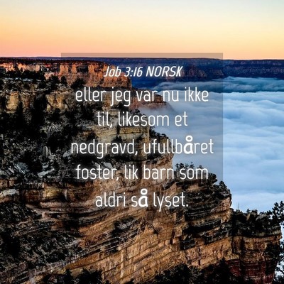 Picture 04 - Job 3:16 NORSK - eller jeg var nu ikke til, likesom et nedgravd, - Bible Verse Picture