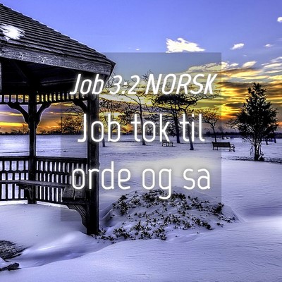 Picture 04 - Job 3:2 NORSK - Job tok til orde og - Bible Verse Picture