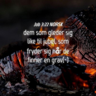 Picture 04 - Job 3:22 NORSK - dem som gleder sig like til jubel, som fryder sig - Bible Verse Picture