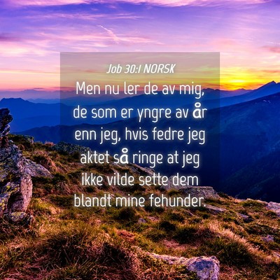 Picture 04 - Job 30:1 NORSK - Men nu ler de av mig, de som er yngre av år enn - Bible Verse Picture