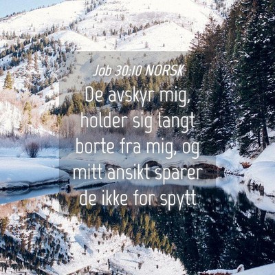 Picture 04 - Job 30:10 NORSK - De avskyr mig, holder sig langt borte fra mig, og - Bible Verse Picture