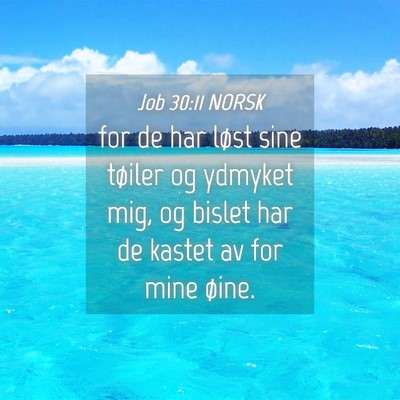 Picture 04 - Job 30:11 NORSK - for de har løst sine tøiler og ydmyket mig, og - Bible Verse Picture