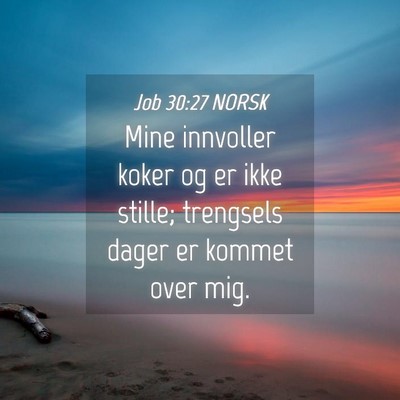 Picture 04 - Job 30:27 NORSK - Mine innvoller koker og er ikke stille; trengsels - Bible Verse Picture