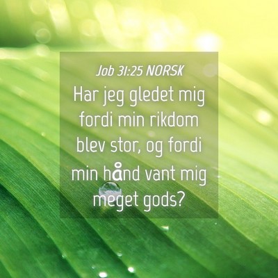 Picture 04 - Job 31:25 NORSK - Har jeg gledet mig fordi min rikdom blev stor, og - Bible Verse Picture