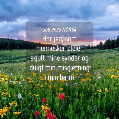 Picture 04 - Job 31:33 NORSK - Har jeg, som mennesker pleier, skjult mine synder - Bible Verse Picture