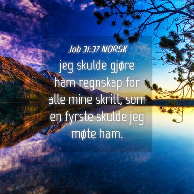 Picture 04 - Job 31:37 NORSK - jeg skulde gjøre ham regnskap for alle mine - Bible Verse Picture