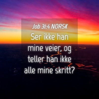 Picture 04 - Job 31:4 NORSK - Ser ikke han mine veier, og teller han ikke alle - Bible Verse Picture