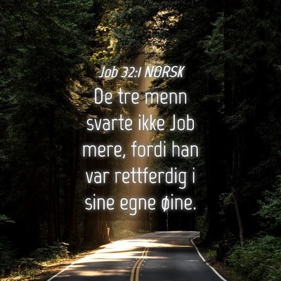 Picture 04 - Job 32:1 NORSK - De tre menn svarte ikke Job mere, fordi han var - Bible Verse Picture