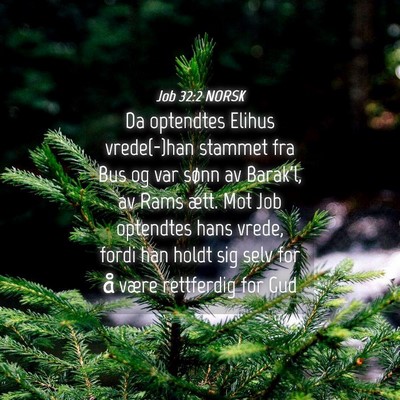 Picture 04 - Job 32:2 NORSK - Da optendtes Elihus vrede(-)han stammet fra Bus - Bible Verse Picture
