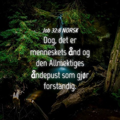 Picture 04 - Job 32:8 NORSK - Dog, det er menneskets ånd og den Allmektiges - Bible Verse Picture