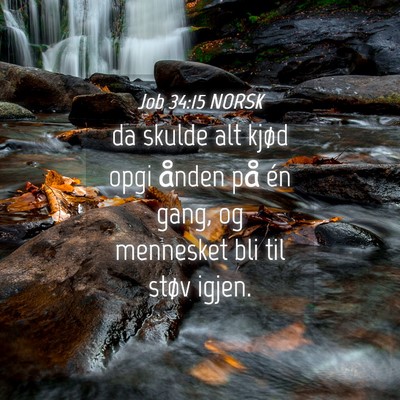 Picture 04 - Job 34:15 NORSK - da skulde alt kjød opgi ånden på én gang, og - Bible Verse Picture