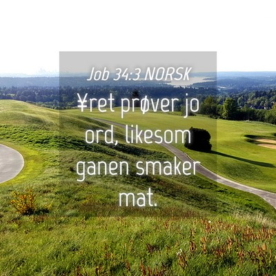 Picture 04 - Job 34:3 NORSK - ¥ret prøver jo ord, likesom ganen smaker - Bible Verse Picture