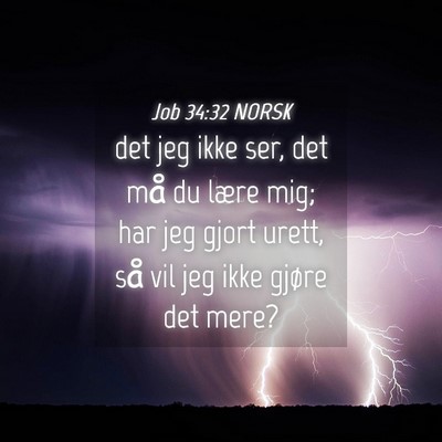Picture 04 - Job 34:32 NORSK - det jeg ikke ser, det må du lære mig; har jeg - Bible Verse Picture