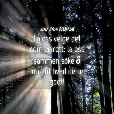 Picture 04 - Job 34:4 NORSK - La oss velge det som er rett; la oss sammen søke - Bible Verse Picture