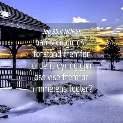 Picture 04 - Job 35:11 NORSK - han som gir oss forstand fremfor jordens dyr og - Bible Verse Picture