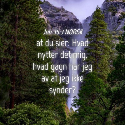 Picture 04 - Job 35:3 NORSK - at du sier: Hvad nytter det mig, hvad gagn har - Bible Verse Picture