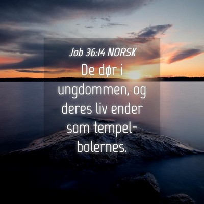 Picture 04 - Job 36:14 NORSK - De dør i ungdommen, og deres liv ender som - Bible Verse Picture