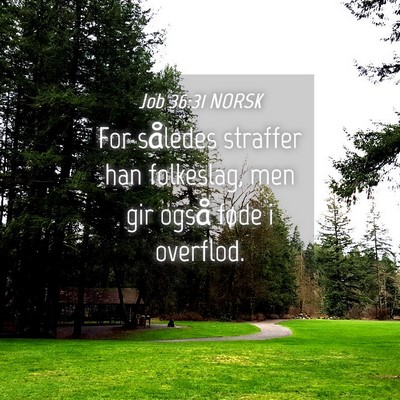 Picture 04 - Job 36:31 NORSK - For således straffer han folkeslag, men gir - Bible Verse Picture