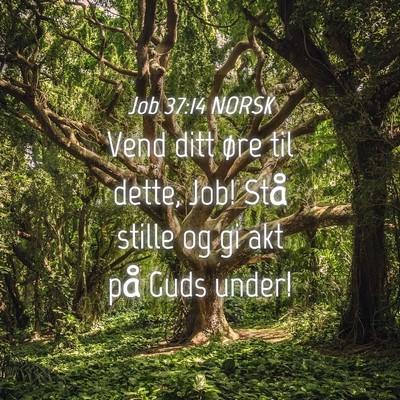 Picture 04 - Job 37:14 NORSK - Vend ditt øre til dette, Job! Stå stille og gi - Bible Verse Picture