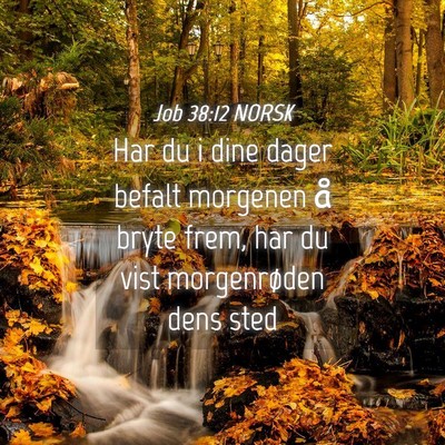Picture 04 - Job 38:12 NORSK - Har du i dine dager befalt morgenen å bryte - Bible Verse Picture