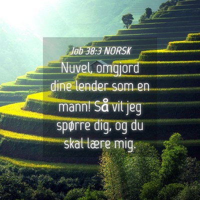 Picture 04 - Job 38:3 NORSK - Nuvel, omgjord dine lender som en mann! Så vil - Bible Verse Picture