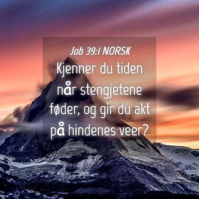 Picture 04 - Job 39:1 NORSK - Kjenner du tiden når stengjetene føder, og gir - Bible Verse Picture