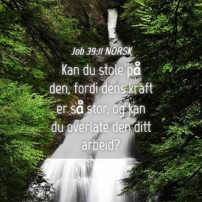 Picture 04 - Job 39:11 NORSK - Kan du stole på den, fordi dens kraft er så - Bible Verse Picture